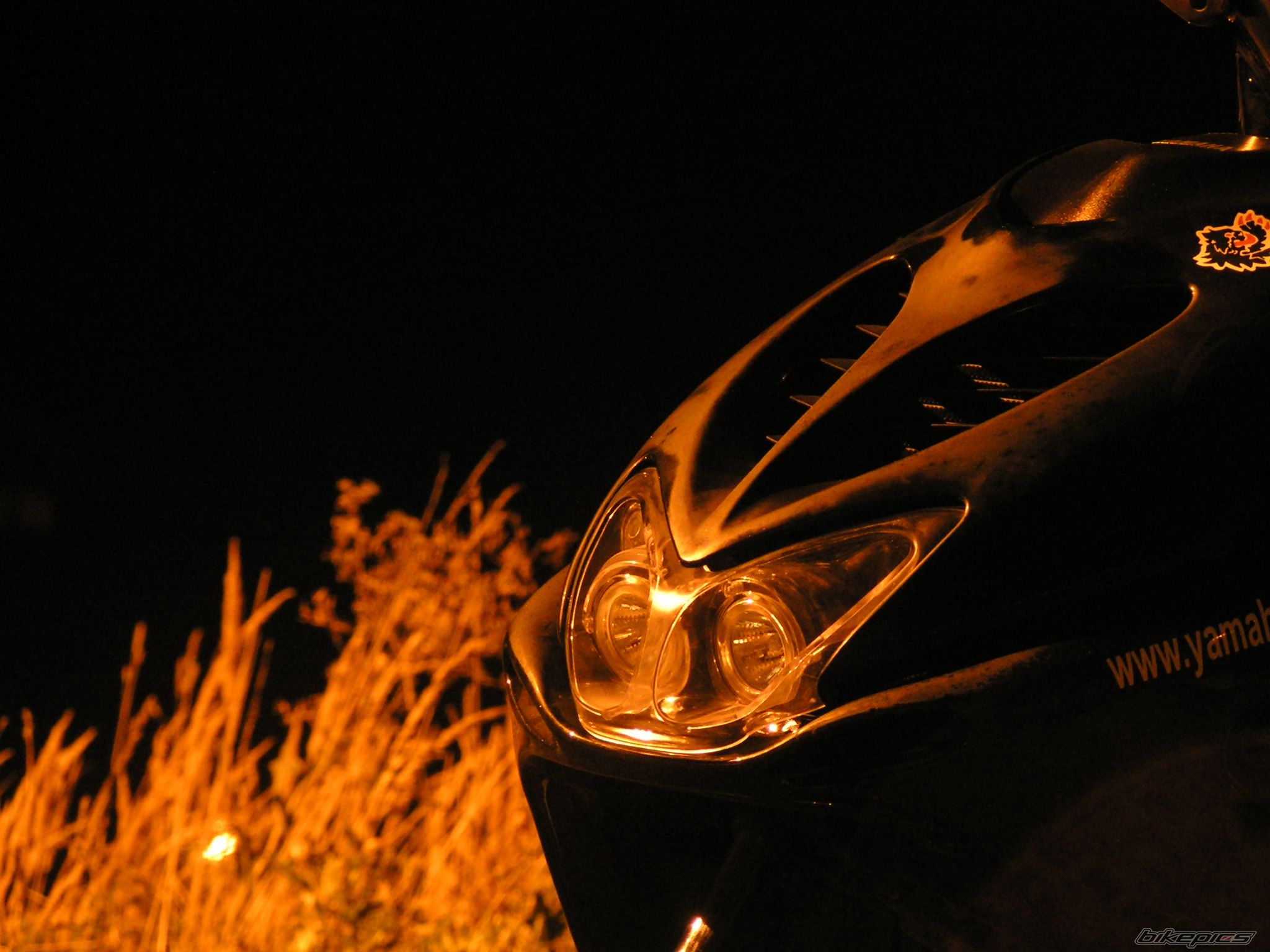Photo 667119