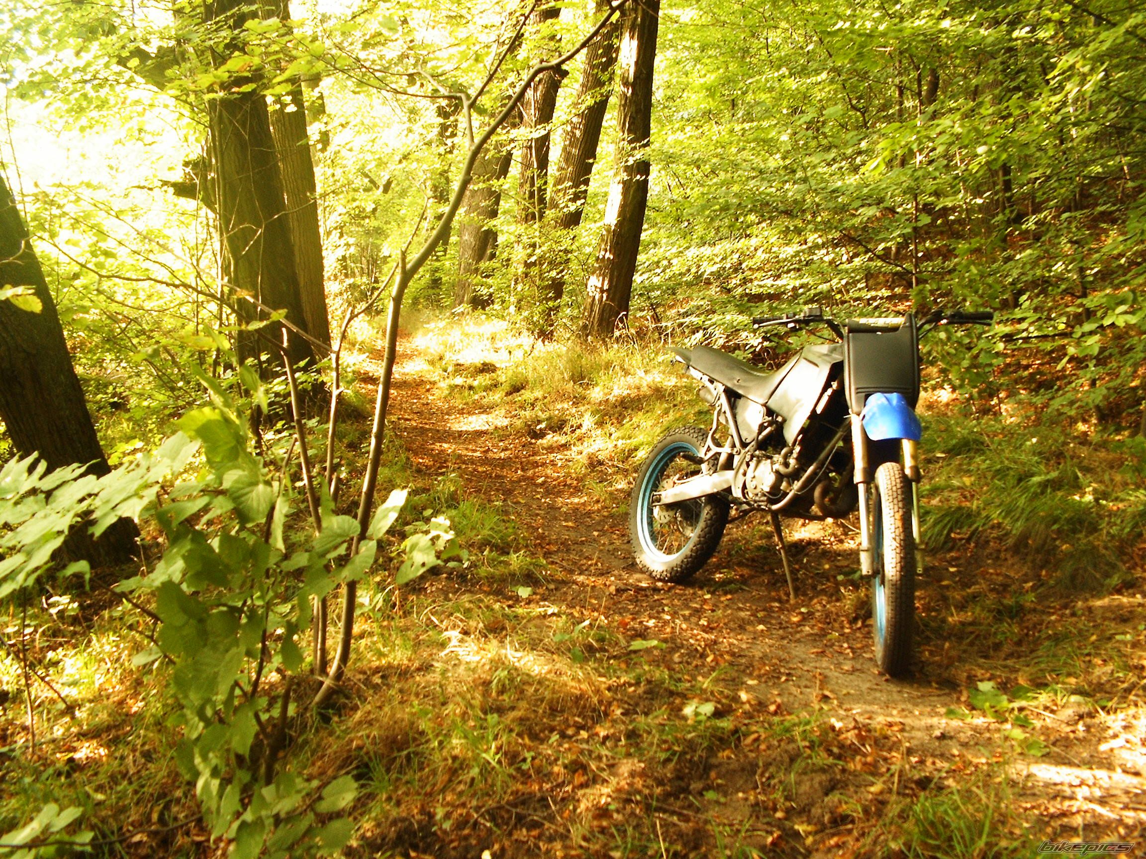 Bike Photo 667135