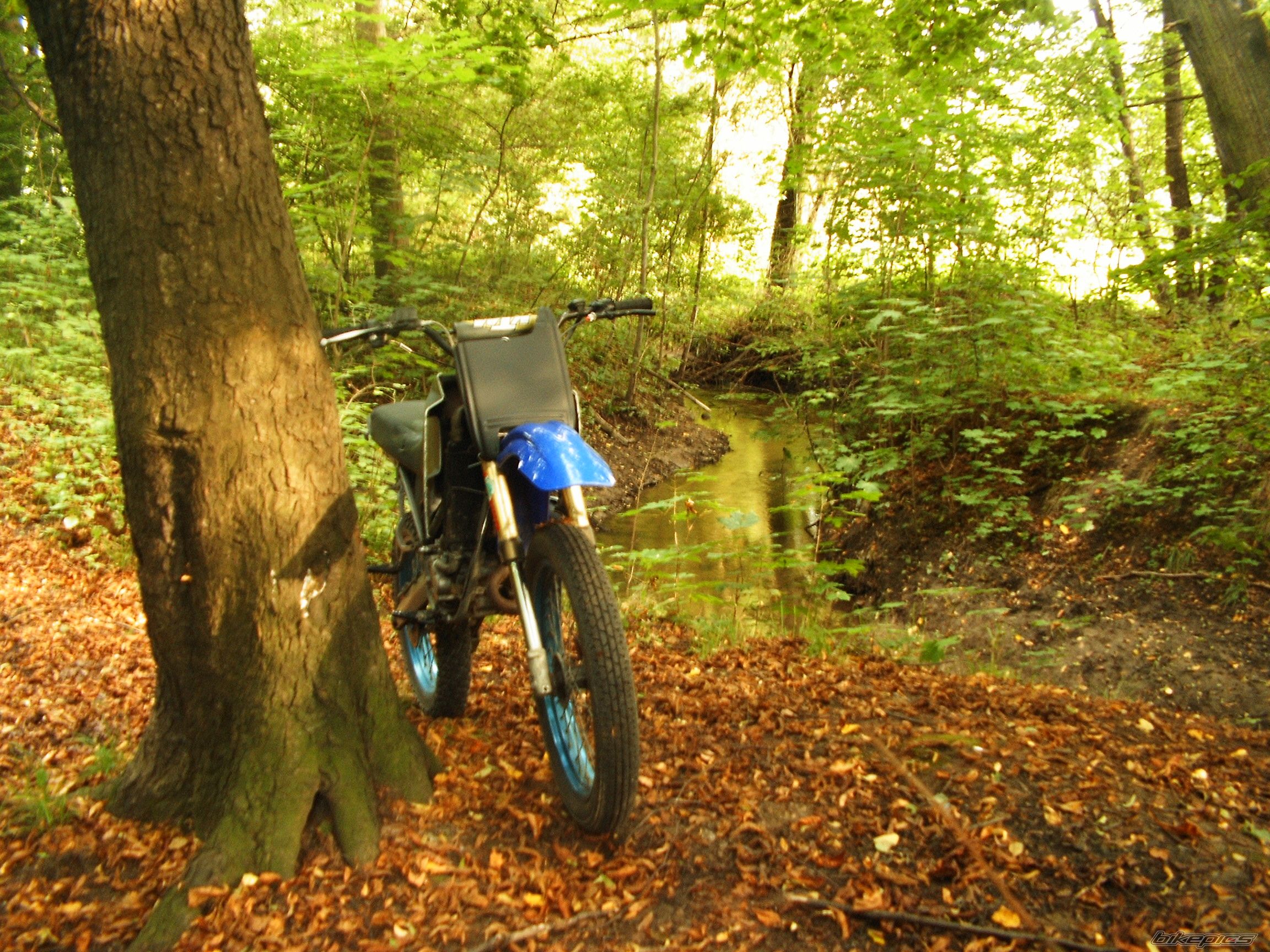 Bike Photo 667143