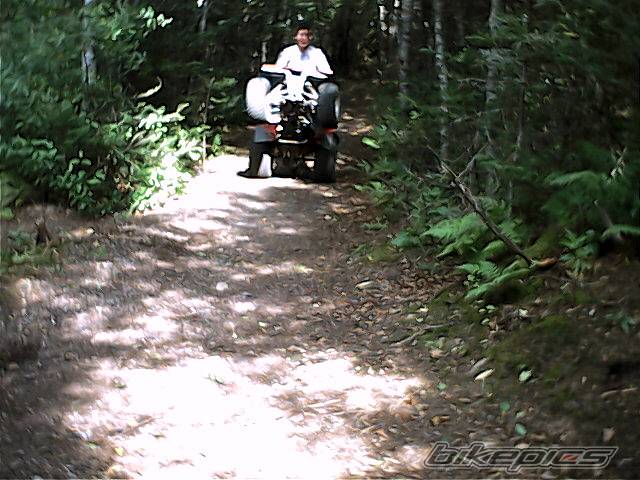 Photo 66717