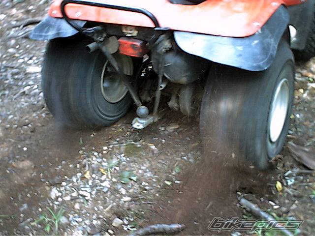 Photo 66718
