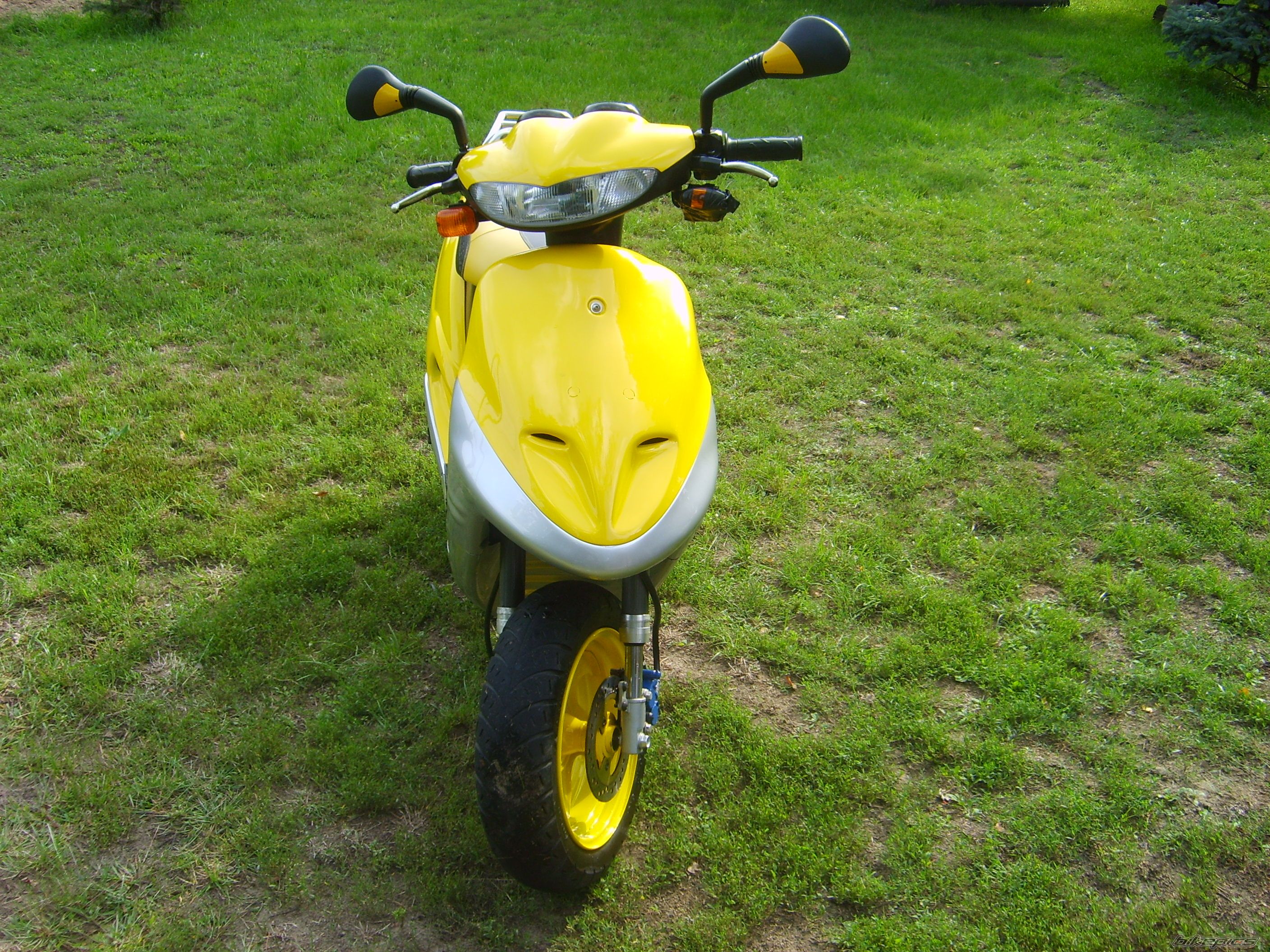 Photo 667463