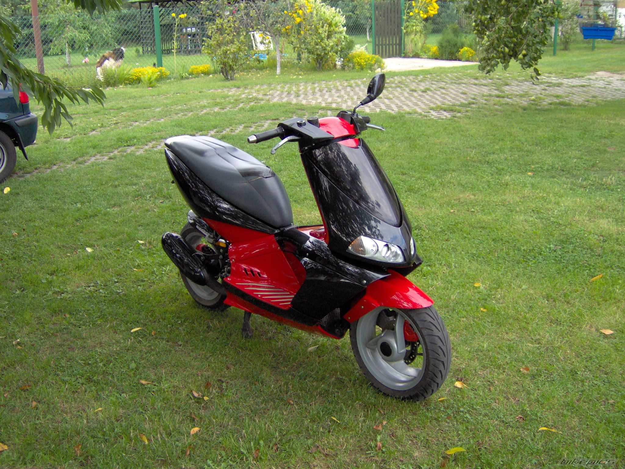 Photo 667832