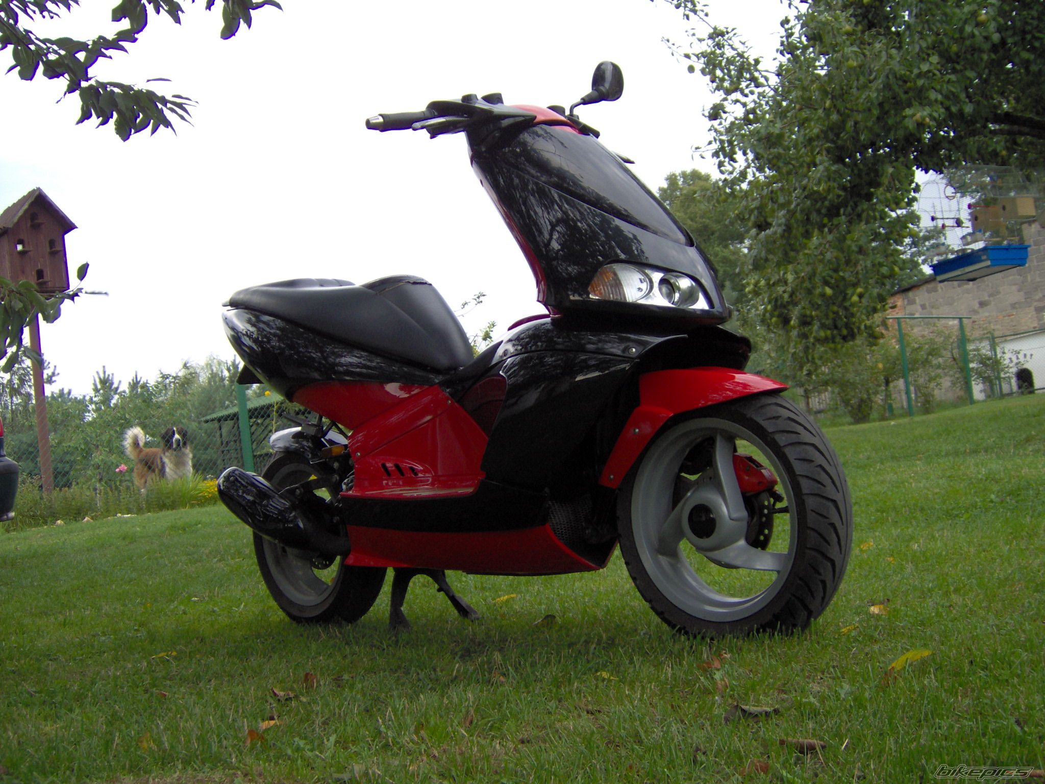 Bike Photo 667848