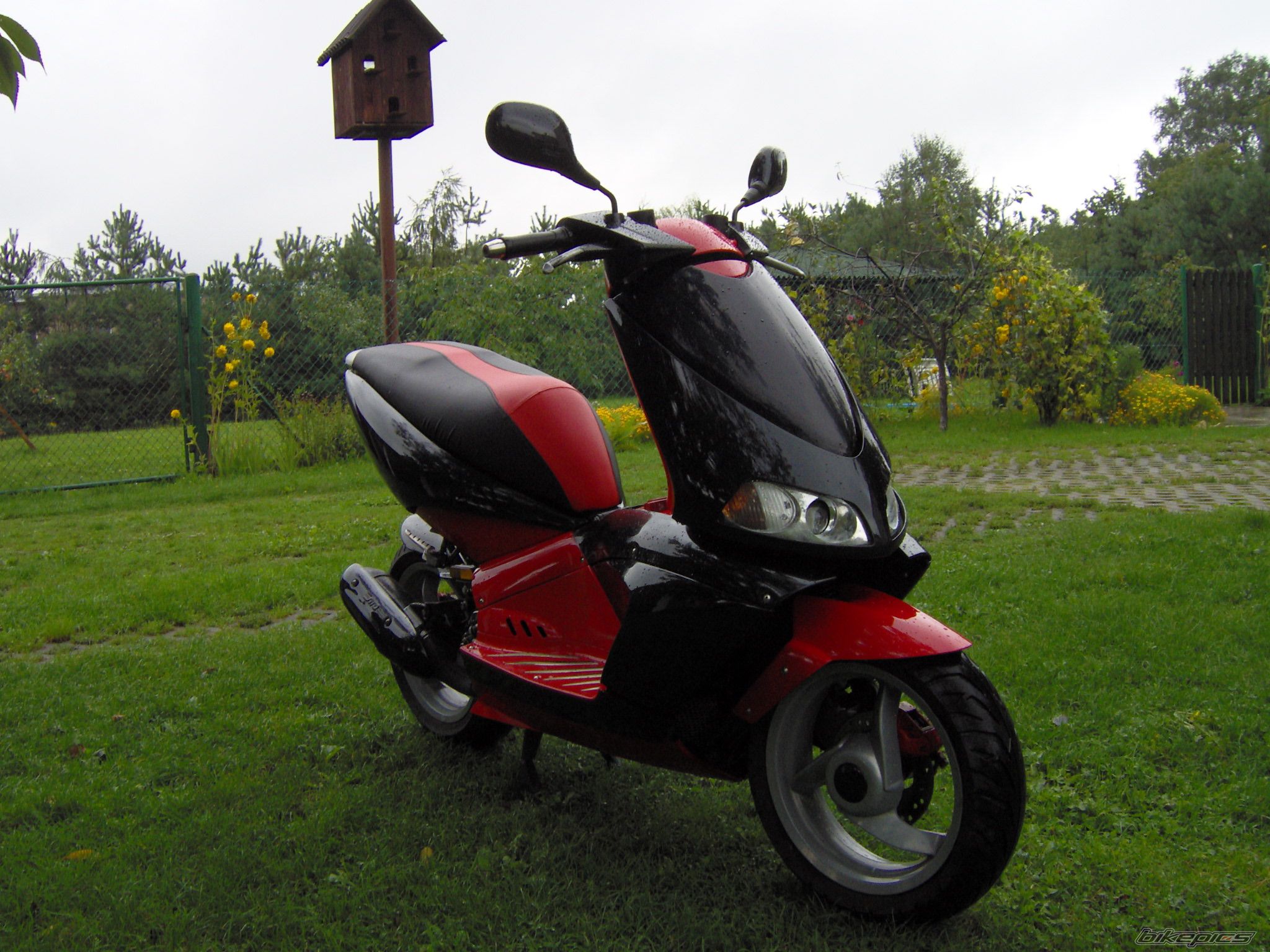 Photo 667867