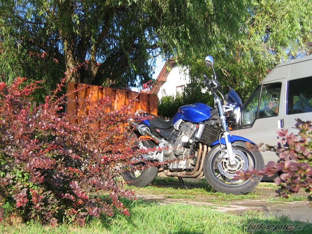 Bike Photo 668053