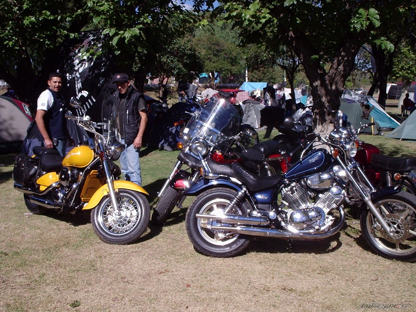 Photo 668068