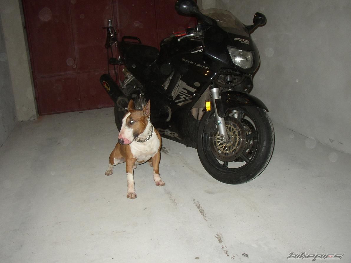 Bike Photo 668329