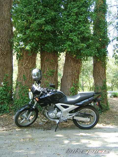 Bike Photo 668425