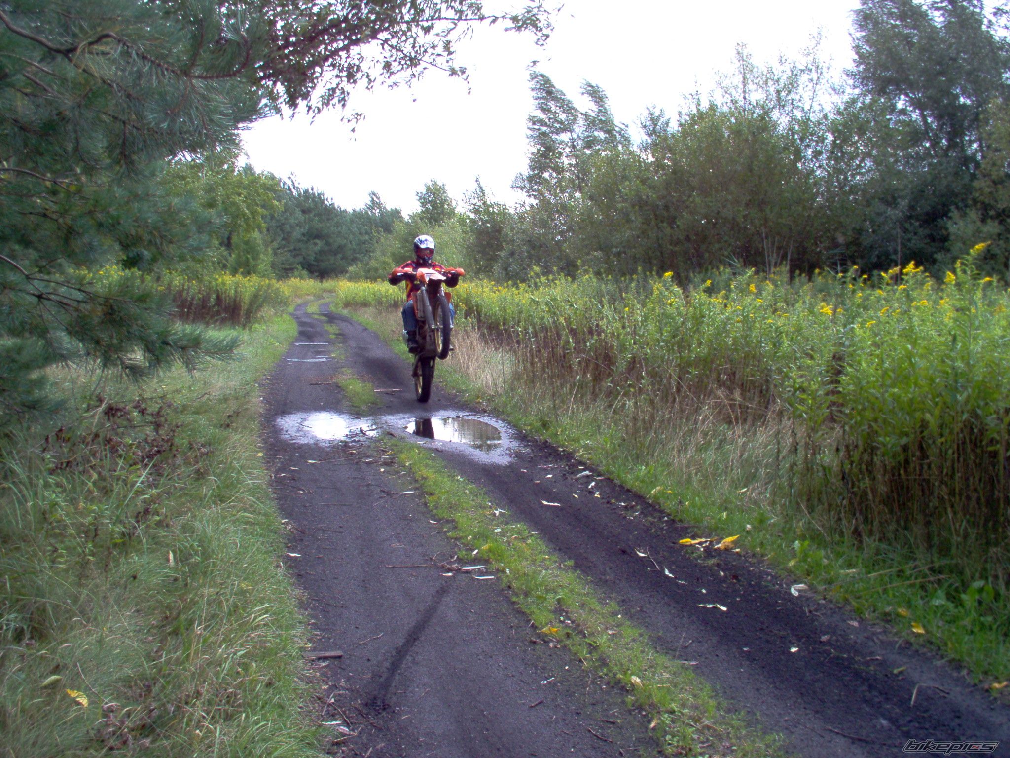Bike Photo 668438