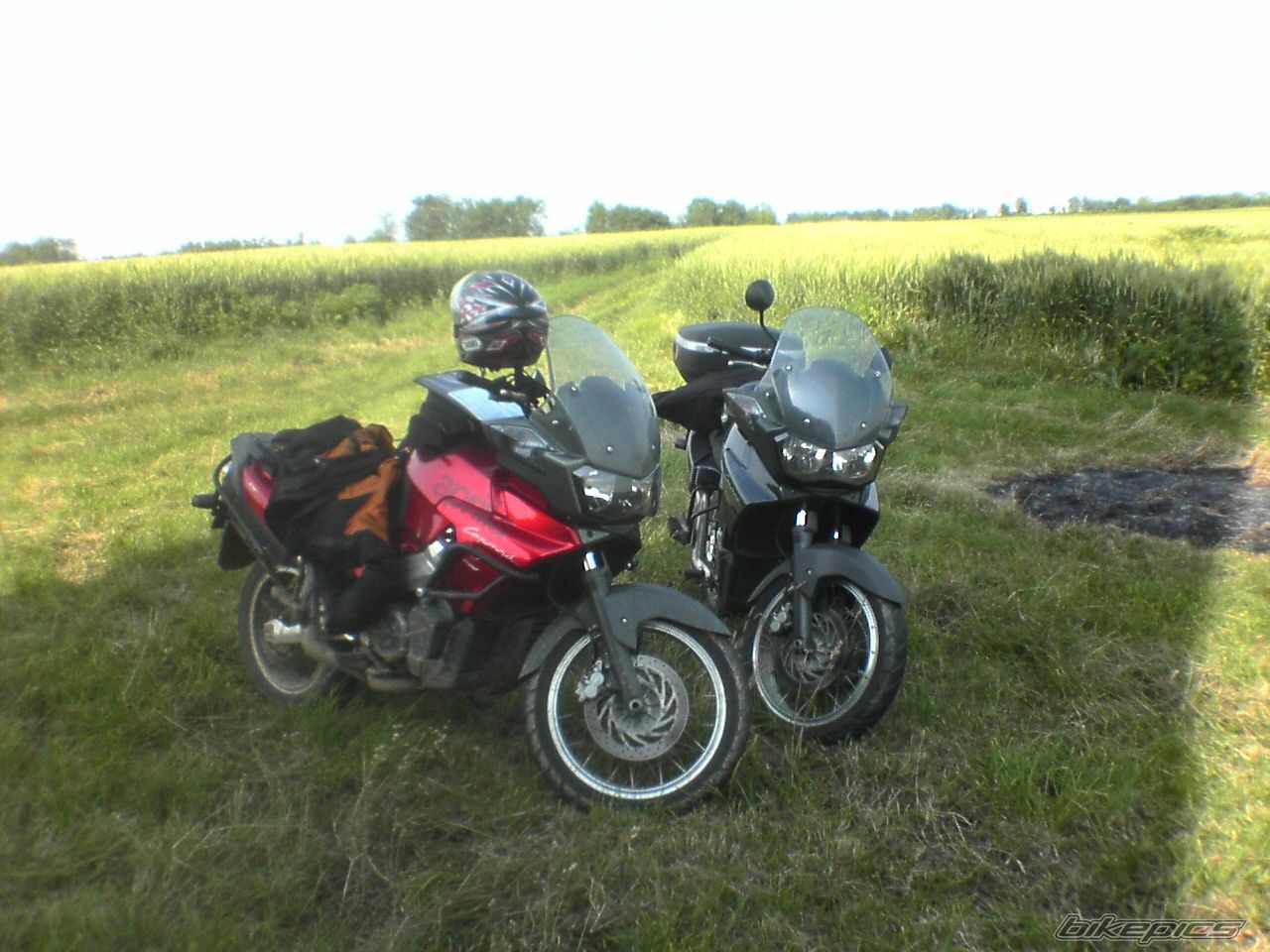 Photo 668460