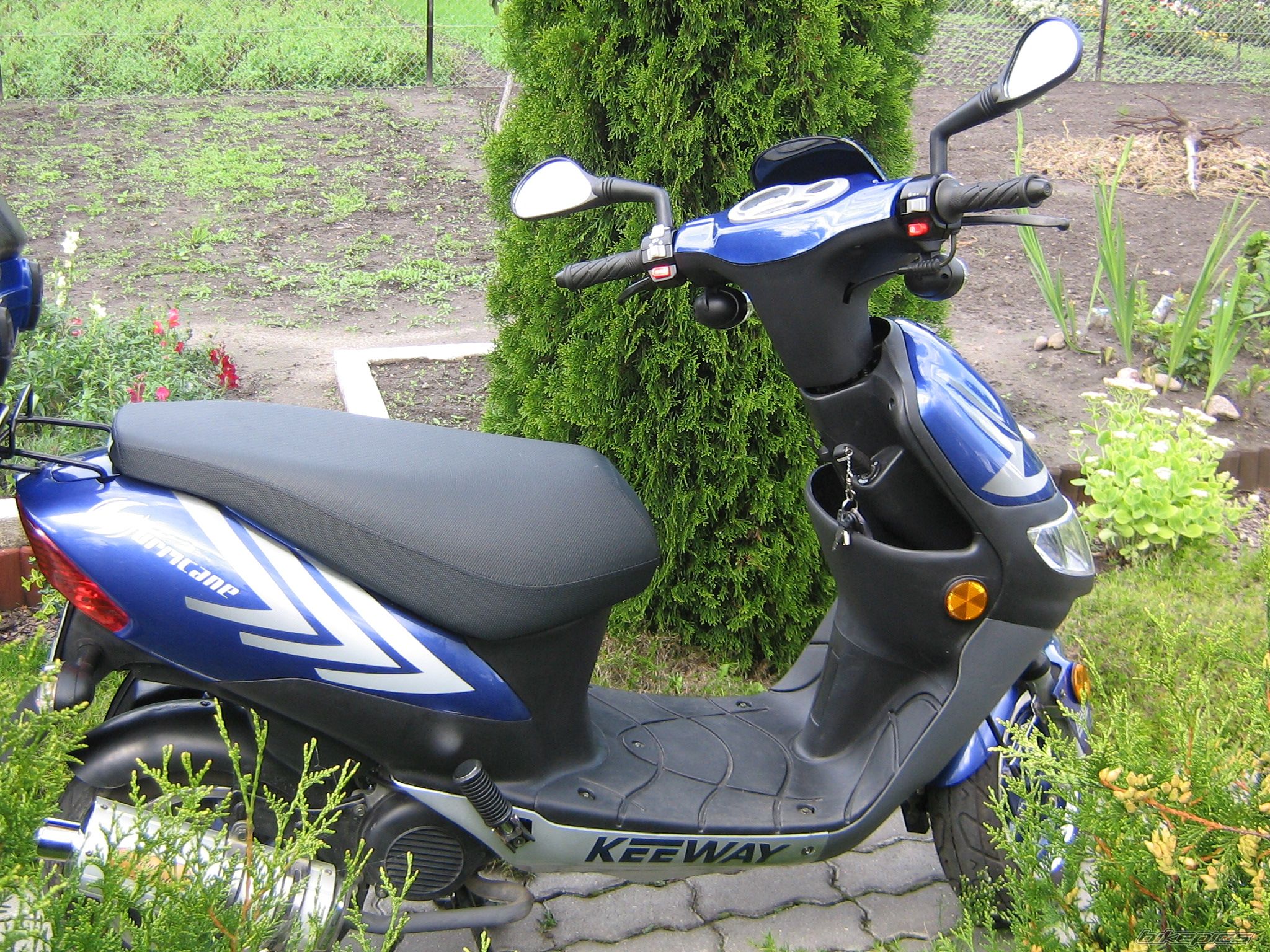 Photo 668471