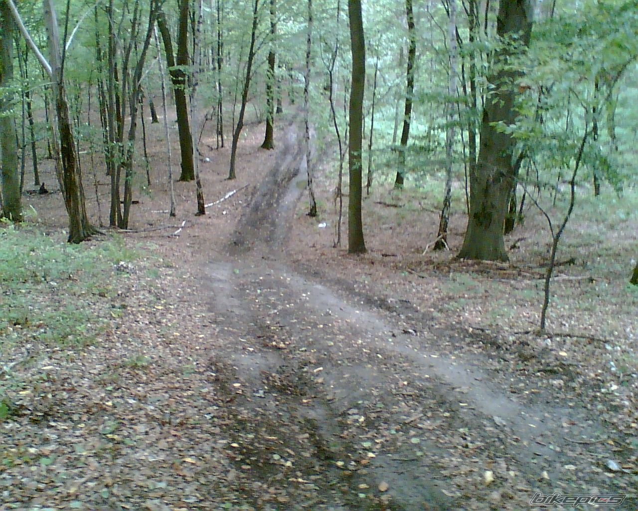 Photo 668613