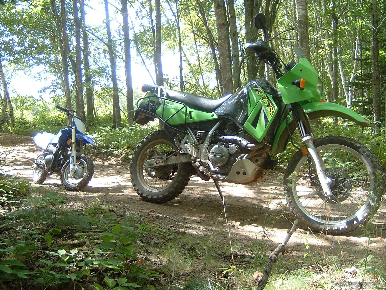 Bike Photo 668651