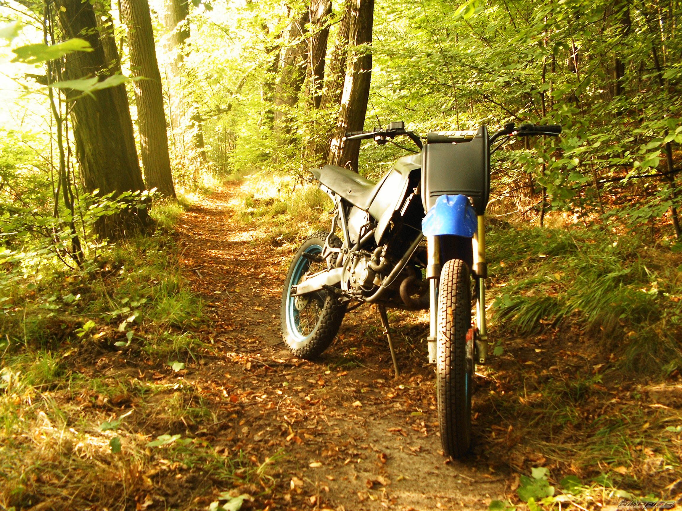 Bike Photo 668755