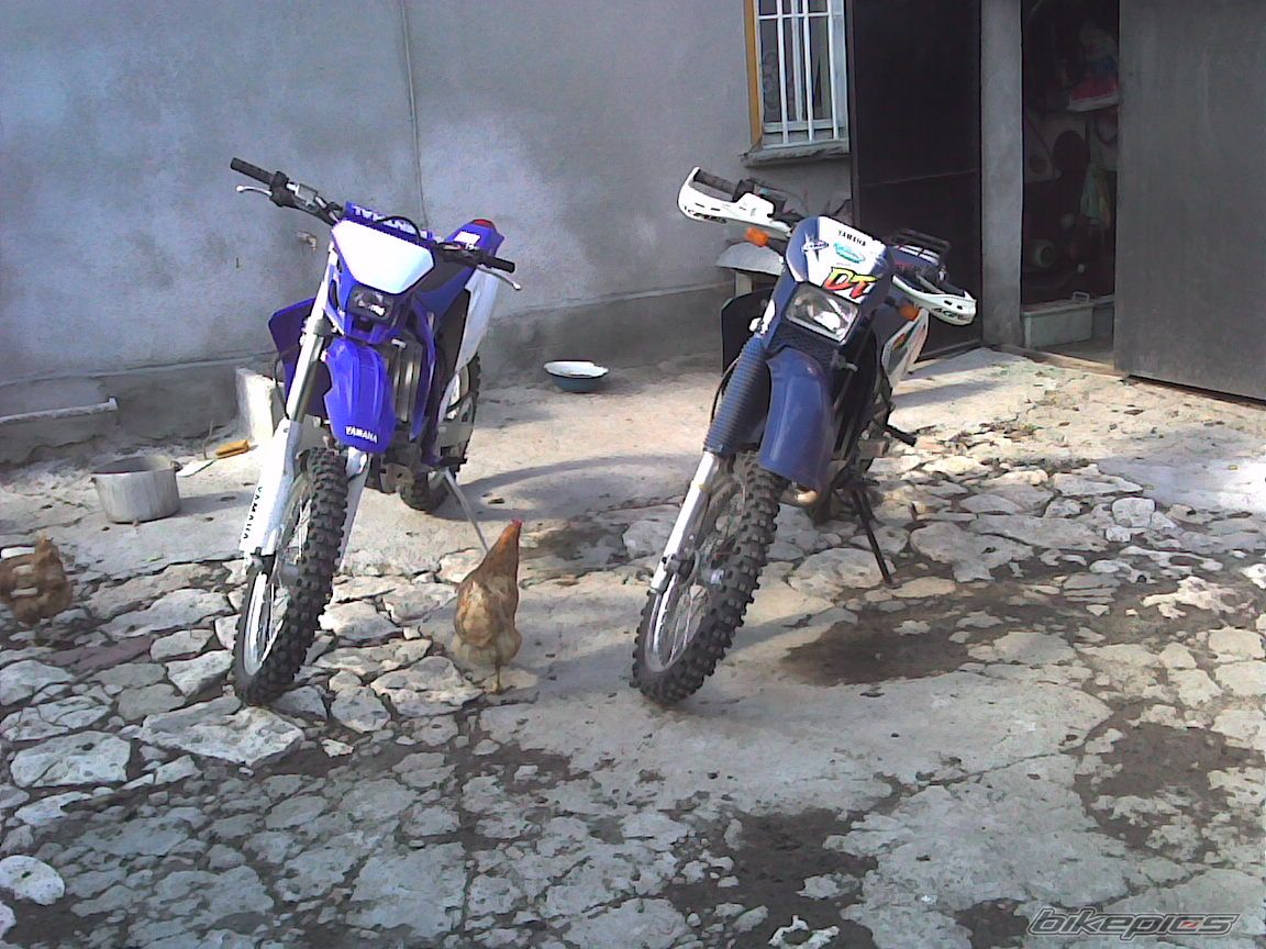 Photo 669216