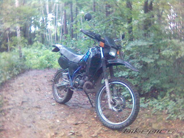 Photo 669306