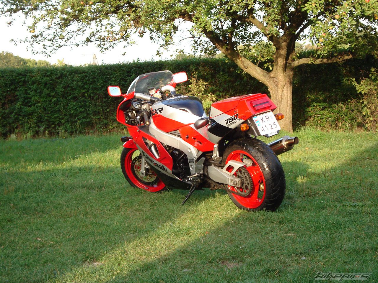 Bike Photo 669307