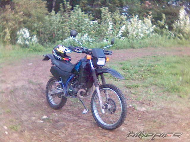Photo 669313