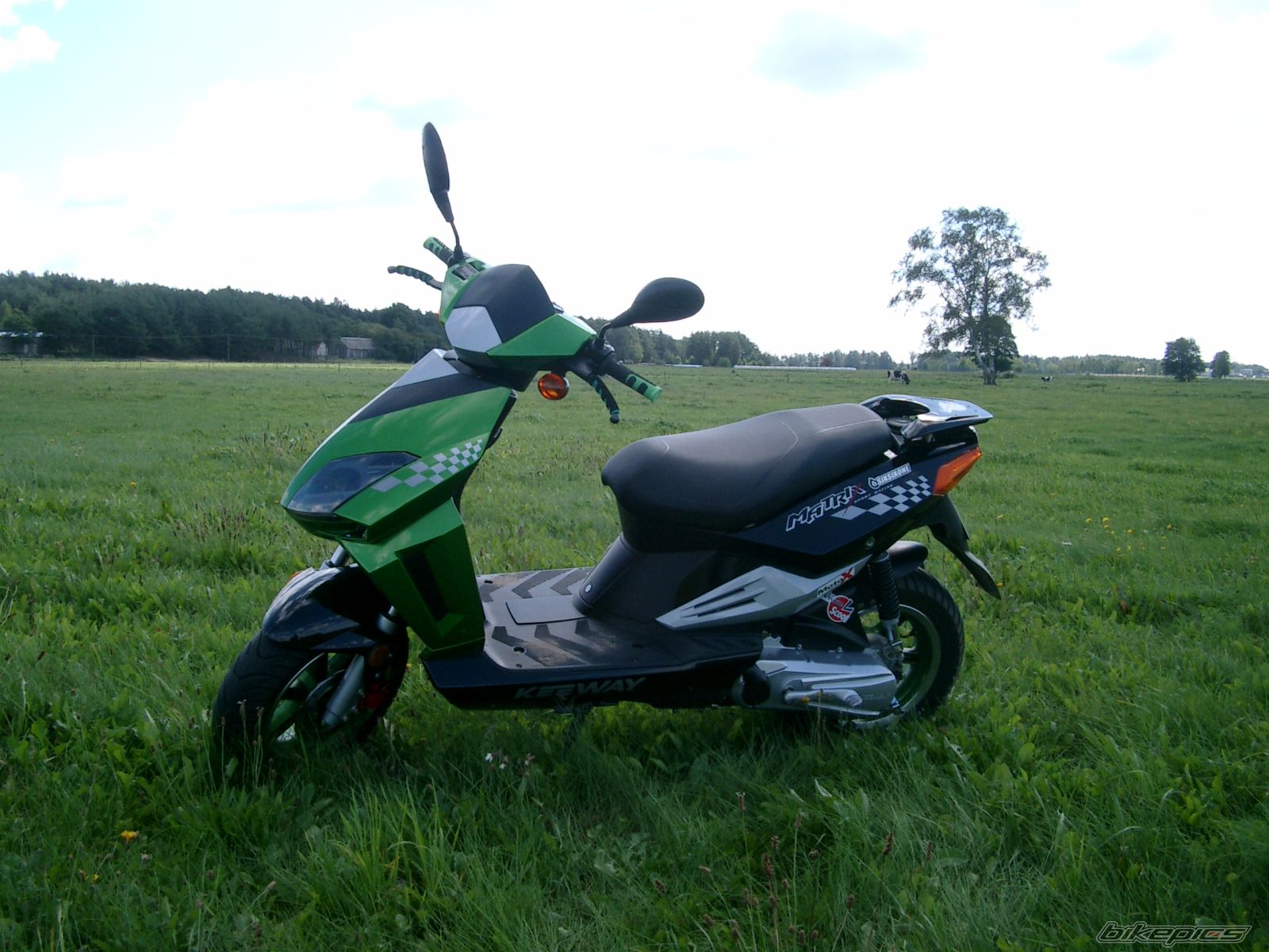 Photo 669350