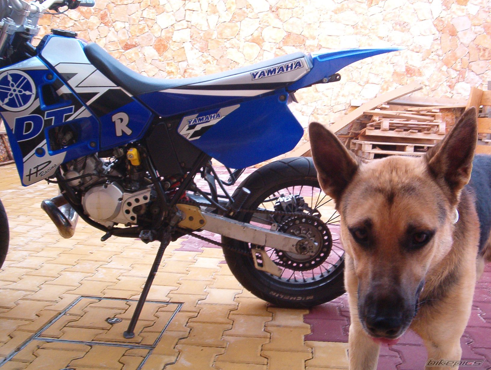 Bike Photo 669599