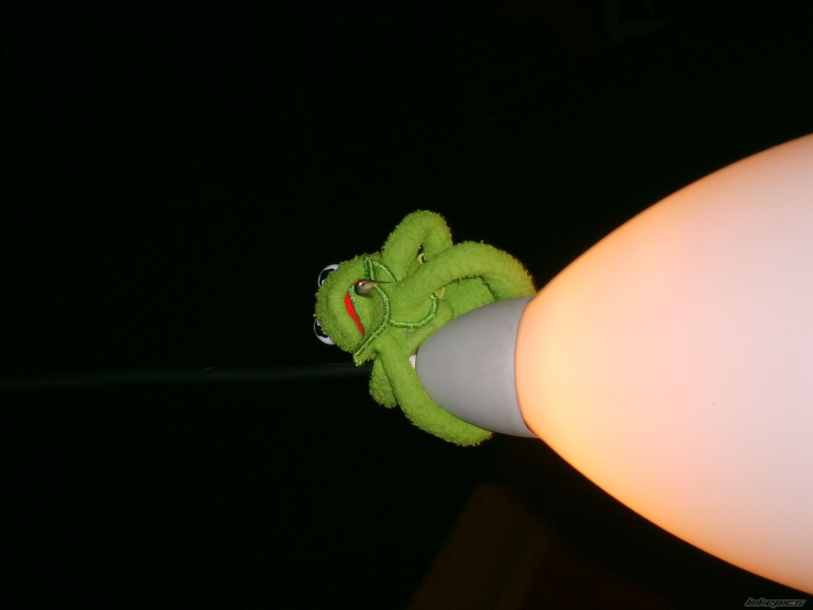 Photo 669796
