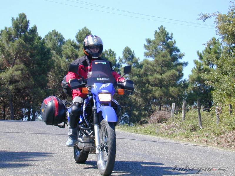 Bike Photo 66984
