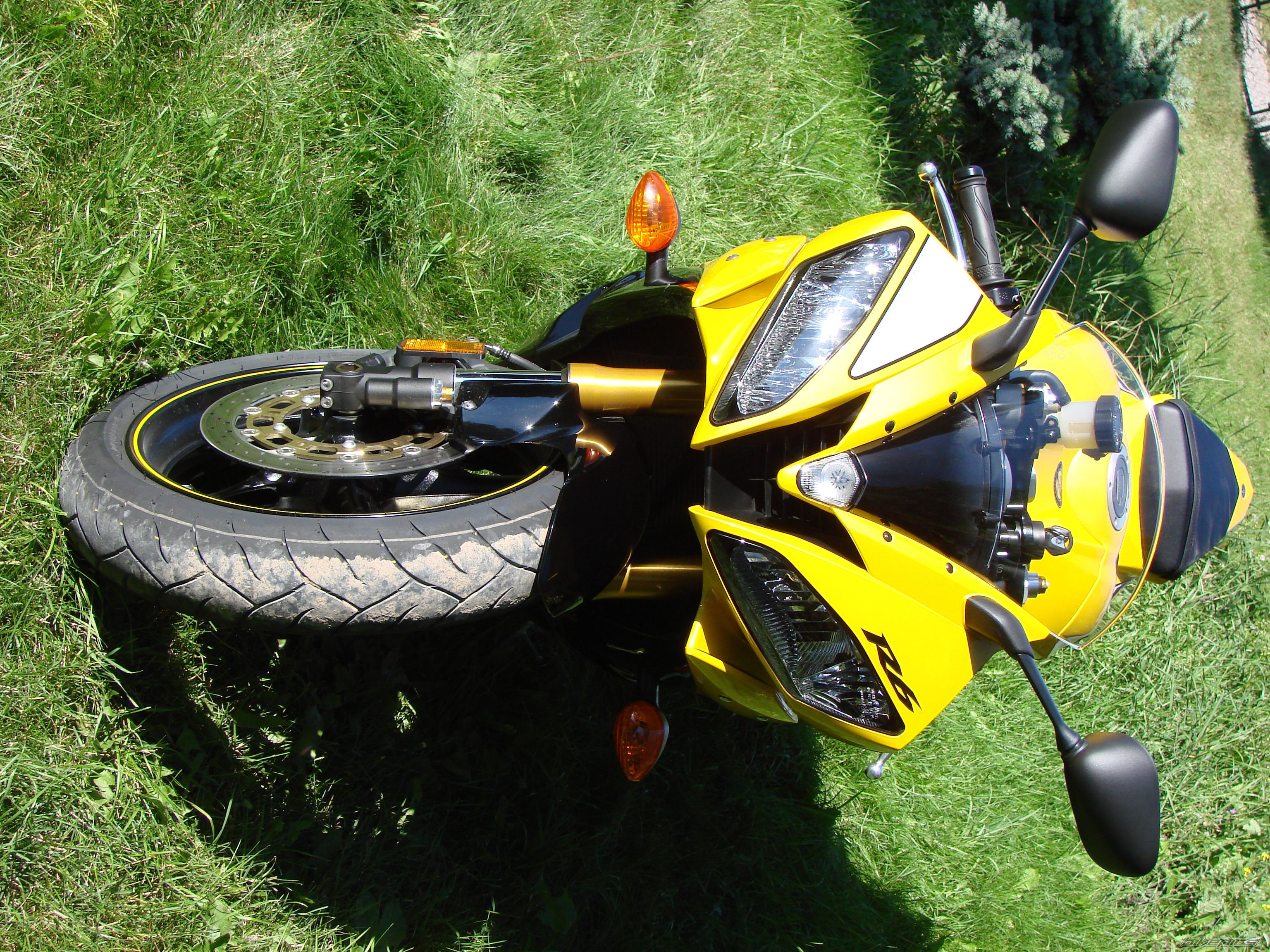 Photo 669939