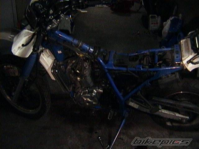 Photo 6703