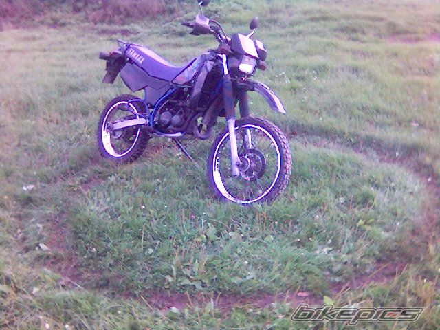 Photo 670325
