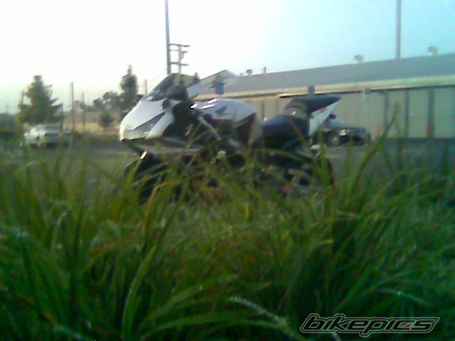 Photo 671505