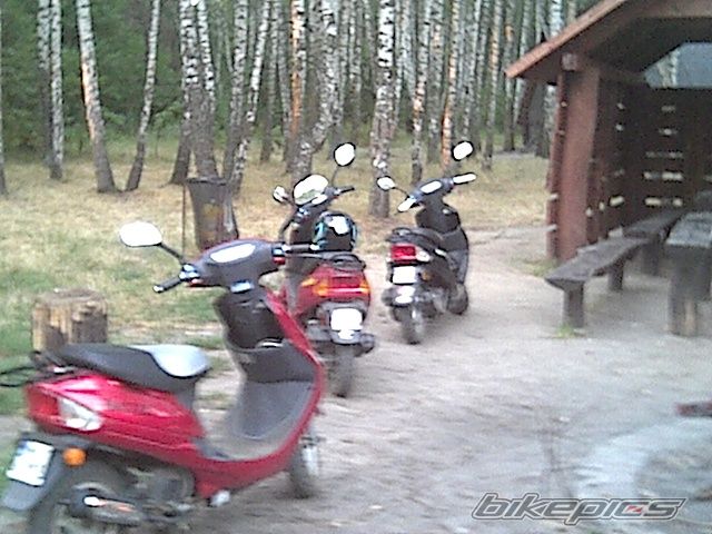 Photo 671923