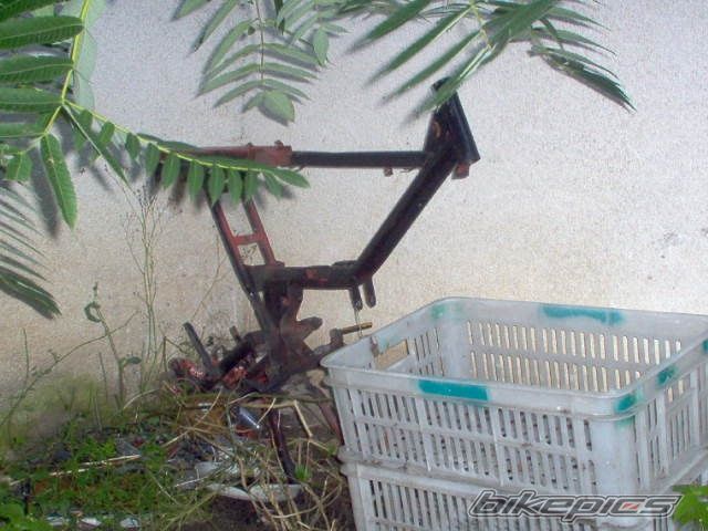 Photo 671992