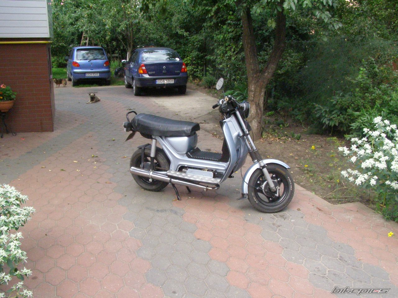 Photo 672296