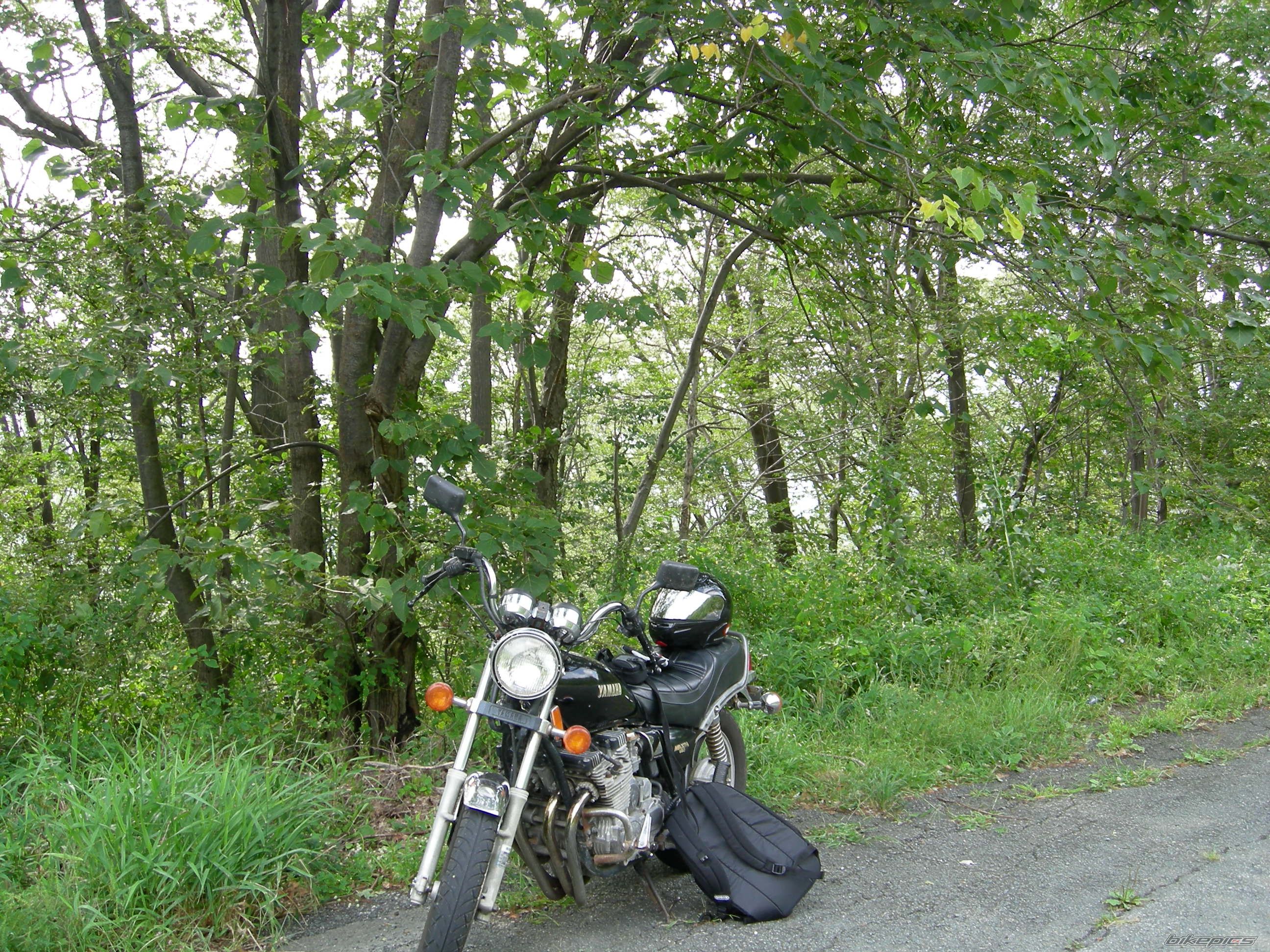 Photo 672531