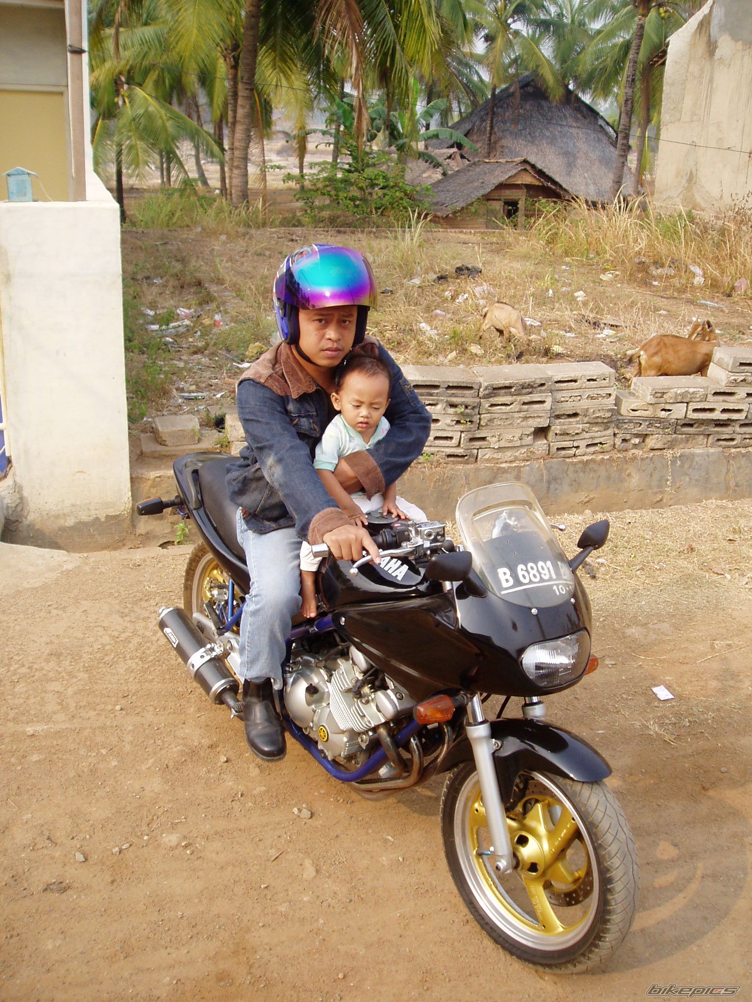 Photo 672589
