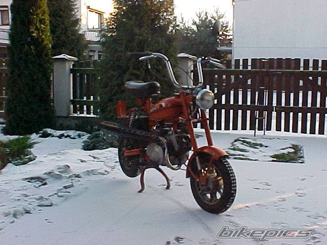 Photo 67268