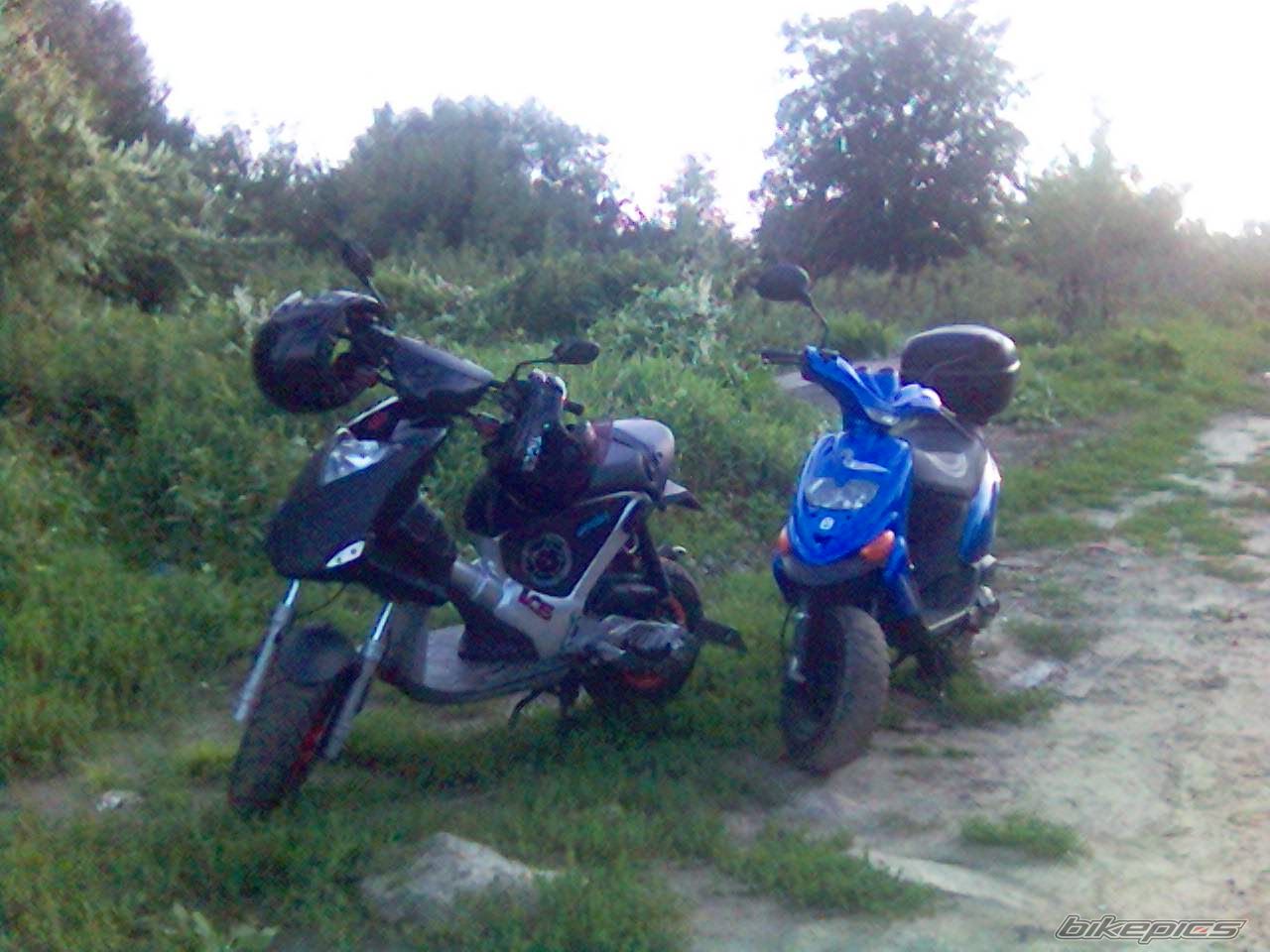 Photo 672717