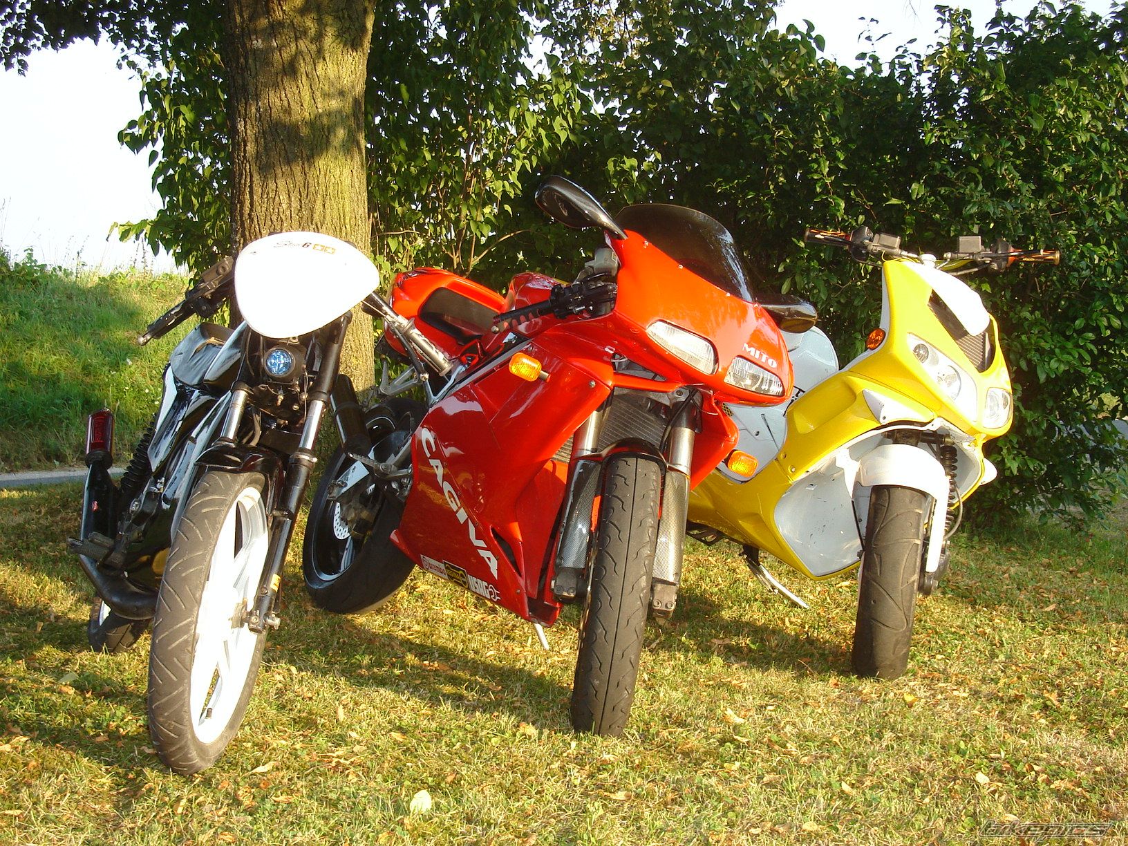 Photo 673423