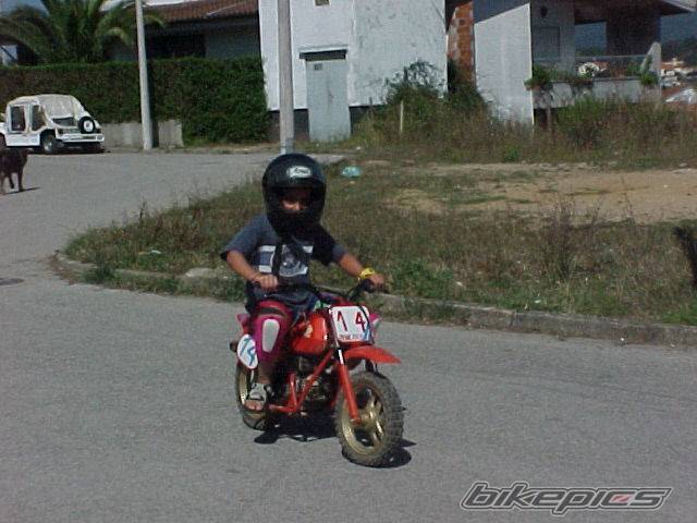 Photo 67362