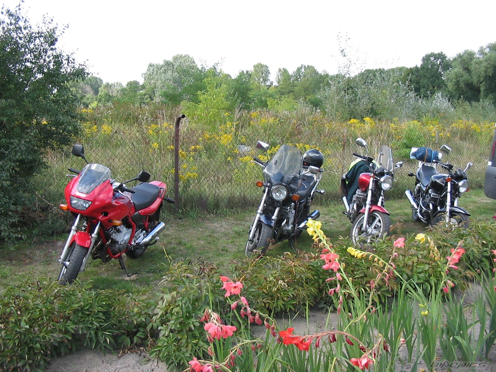 Photo 673629