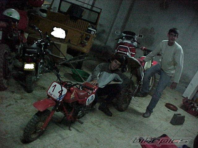 Photo 67368