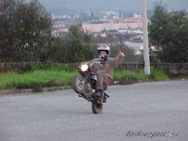 Photo 67373