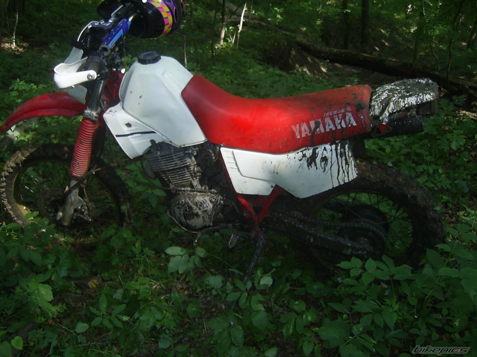 Photo 674382