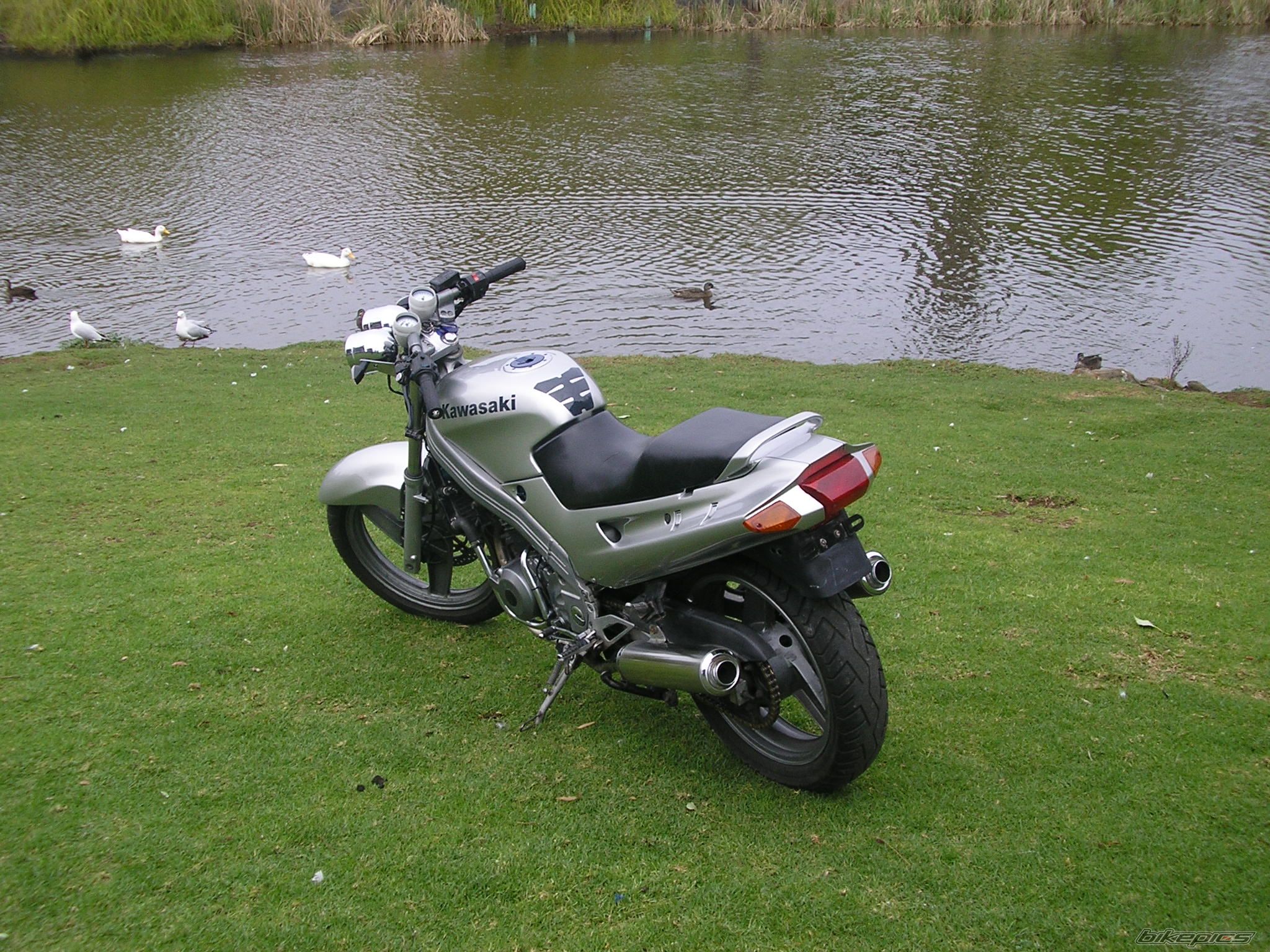 Photo 674595