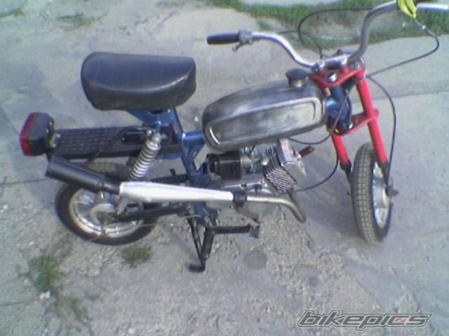 Photo 675768