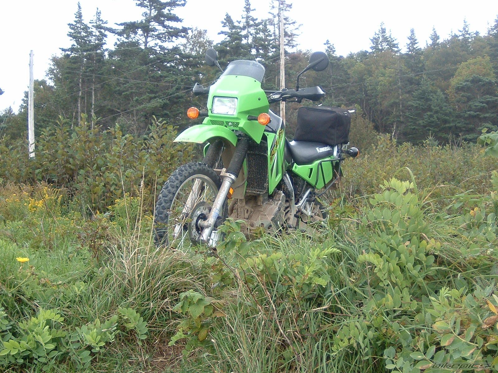 Bike Photo 675981