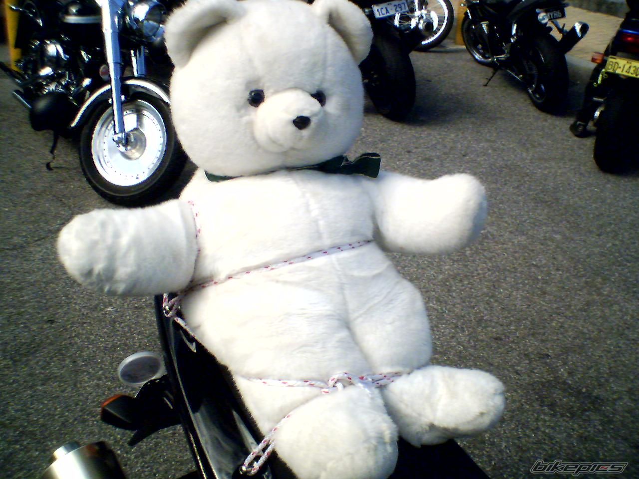 Bike Photo 676423