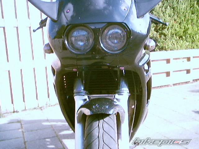 Photo 67643