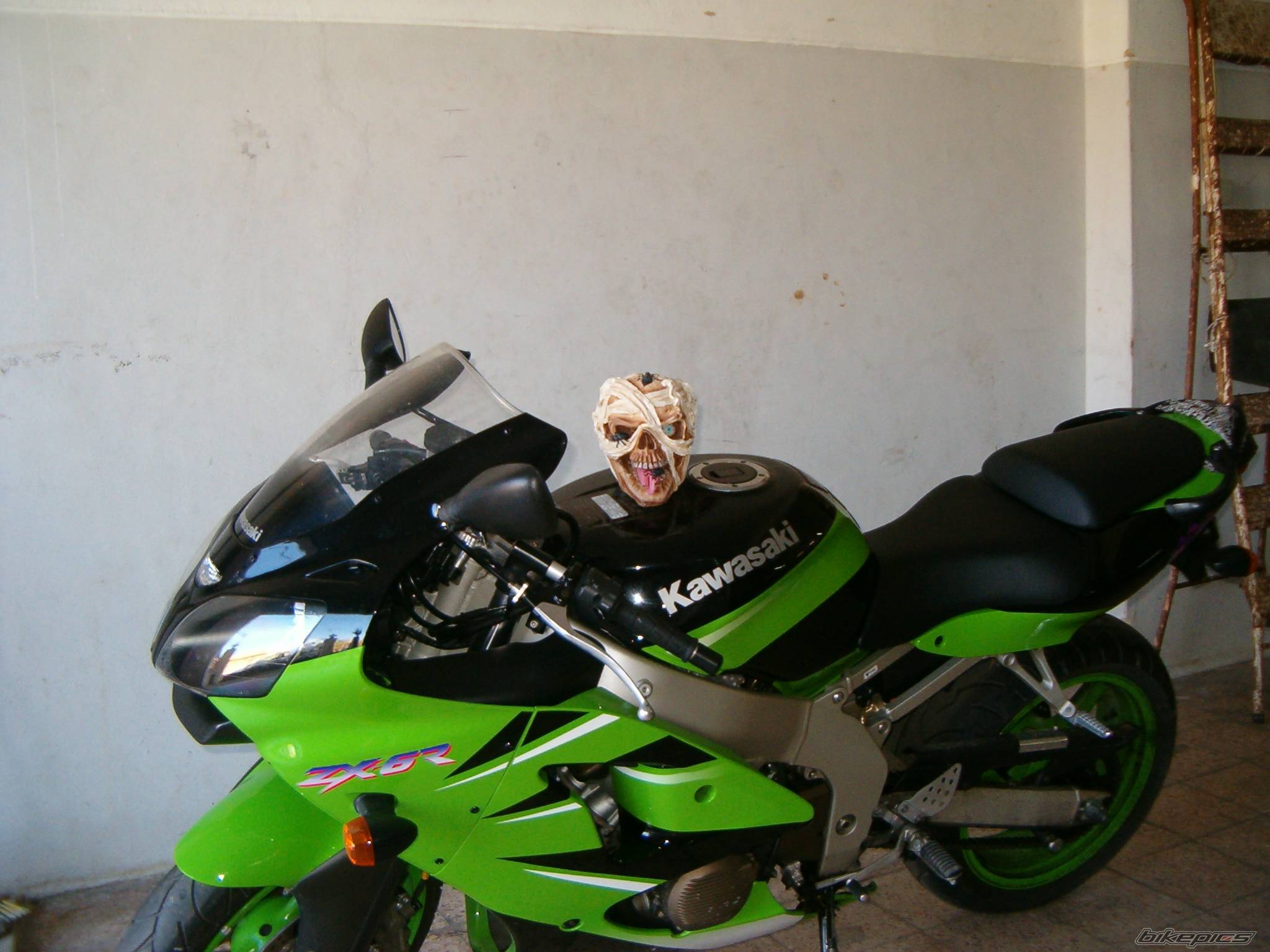 Photo 67679